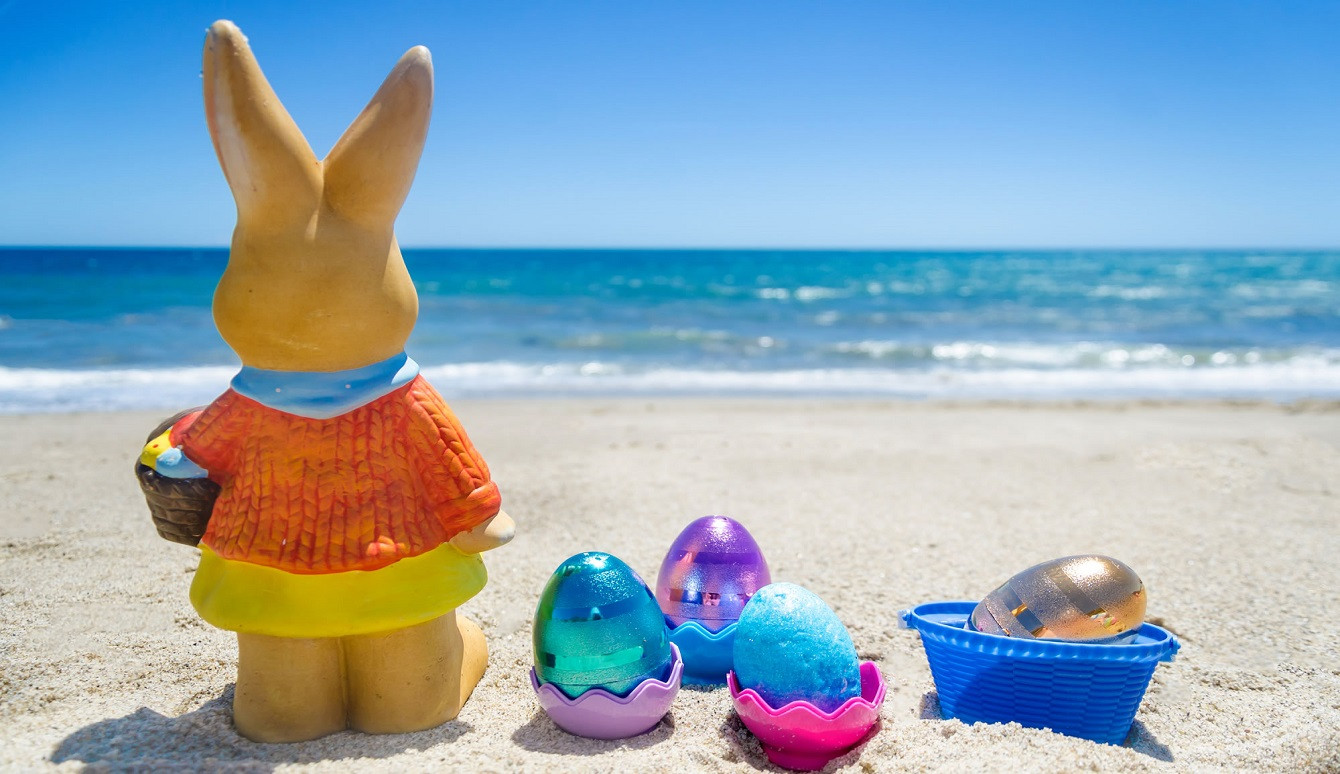 media.pasqua a riccione